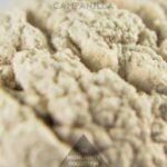 Campanilla - A2 Pigments - Imagen 2