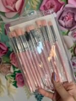 Set de12 pinceles