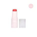 RUBOR EN STICK - MELY - Imagen 6